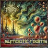 Reality Check (Alt. Mix) - Peyoceps
