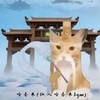 哈基米（仙人哈基米bgm） - 秃头少女