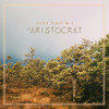 Just You & I (Extended Mix) - DJ Aristocrat