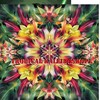 Tropical Kaleidoskope - Nanda Ferraz