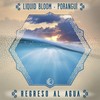 Regreso al Agua (Geometrae Remix) - Liquid Bloom&Poranguí