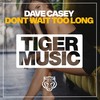 Dont Wait Too Long (Dance Mix) - Dave Casey