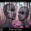 Eins zu Eins - Enrico van der Merwe