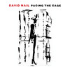 Pacing The Cage - David Nail