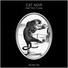 Cat Noir - Matteo Tura