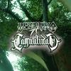 Destino o Casualidad (feat. JMaestre & WHOLON) - La Carli&Jmaestre&WHOLON