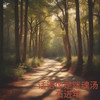寂寞的站台 - 石进年