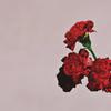 Open Your Eyes (Album Version) - John Legend