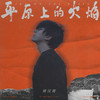 平原上的火焰 - 唐汉霄