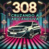 308 Cruzando a Aricanduva (Explicit) - Love Funk&Murilo Azevedo&DJ W7