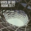 Everybody (Original Mix) - Deugene&Jaxx Volt