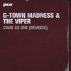 Come as One (Sefa Remix) - G-Town Madness&The Viper