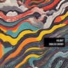 Endless Energy - Halibut