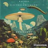 Cosmic Drift - Kachas&Electric Dreams (BR)