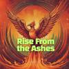 Rise From the Ashes - Harvey K