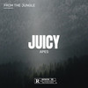 Unganqoma (Explicit) - Juicy Apes&King Jay