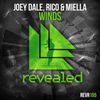 Winds (Original Mix) - Joey Dale&Rico And Miella