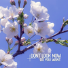 Never Better (Original Mix) - Dont Look Now