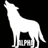 Born to Chase the Stars - Rild