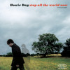 Brace Yourself (Album Version) - Howie Day