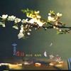 我爱你，中国 (小提琴版) - 群星