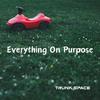 Everything On Purpose - Trunk Space