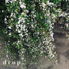drop - Surrender