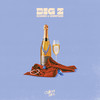 Designer & Champagne - BIG Z