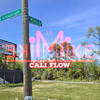 Cali Flow - Lil Mike Mike