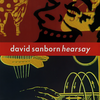 Little Face (Album Version) - David Sanborn