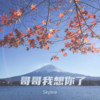 哥哥我想你了 - Skyline