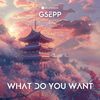 What Do You Want - GSEPP