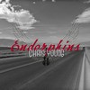 Quite the Salesman - Chris Young