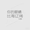 你的眼睛比海辽阔 - DJ星星