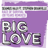 Race Of Survival (DJ Spen & Michele Chiavarini Praise Party Mix) - Seamus Haji&Stephen Granville&DJ Spen&Michele Chiavarini