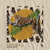 White Orchid - Noble Spirits&Alessandroilove