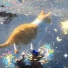 挥手不是告别 - 赫本的猫
