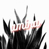 Amira - Douki