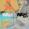 The Wah Wah Song (Right Fit Mix) - Chris Malinchak