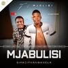 Siyazithandanela (feat. Mjolisi) - Mjabulisi&Mjolisi