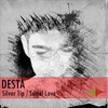 Silver Tip (Original Mix) - Desta