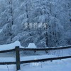 雪落的时候 - 何欢浪
