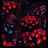 Sever the Ties (feat. Esther Sparkes) - Arman Cekin&Esther Sparkes