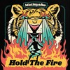 Lifeline - Matisyahu