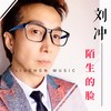 陌生的脸 - 刘冲