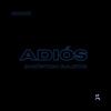 ADIÓS (Acústico Bajito) - Riccii