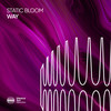 Way - Static Bloom