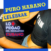 Celebrar - Puro Habano