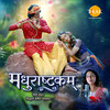 Madhurashtakam - Siddharth Amit Bhavsar&Neeti Mohan