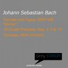 No. 3, An Wasserflüssen Babylon, BWV 653 - Otto Winter